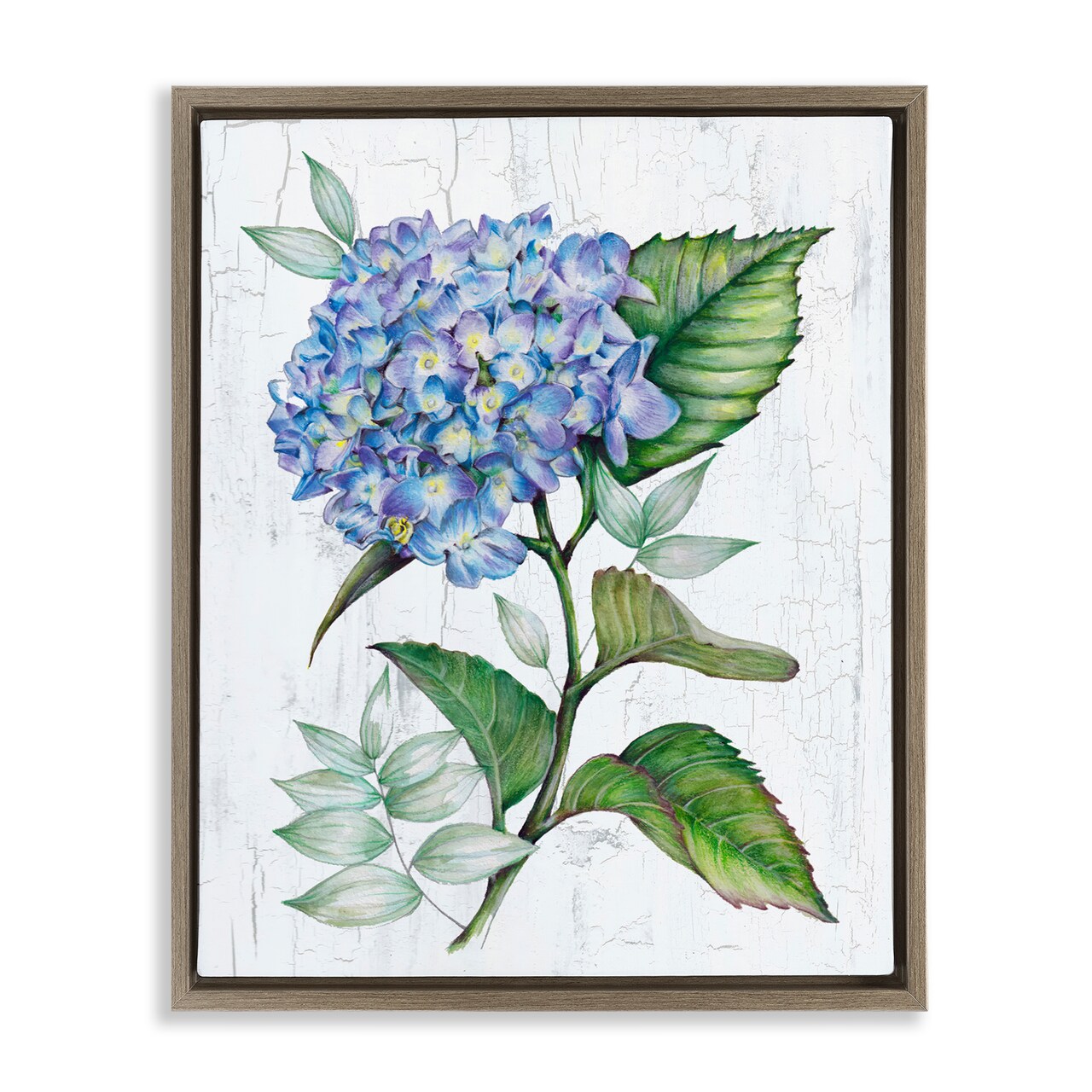 Stupell Industries English Manor Hydrangea Framed Floater Canvas Wall Art Design by Levison Design